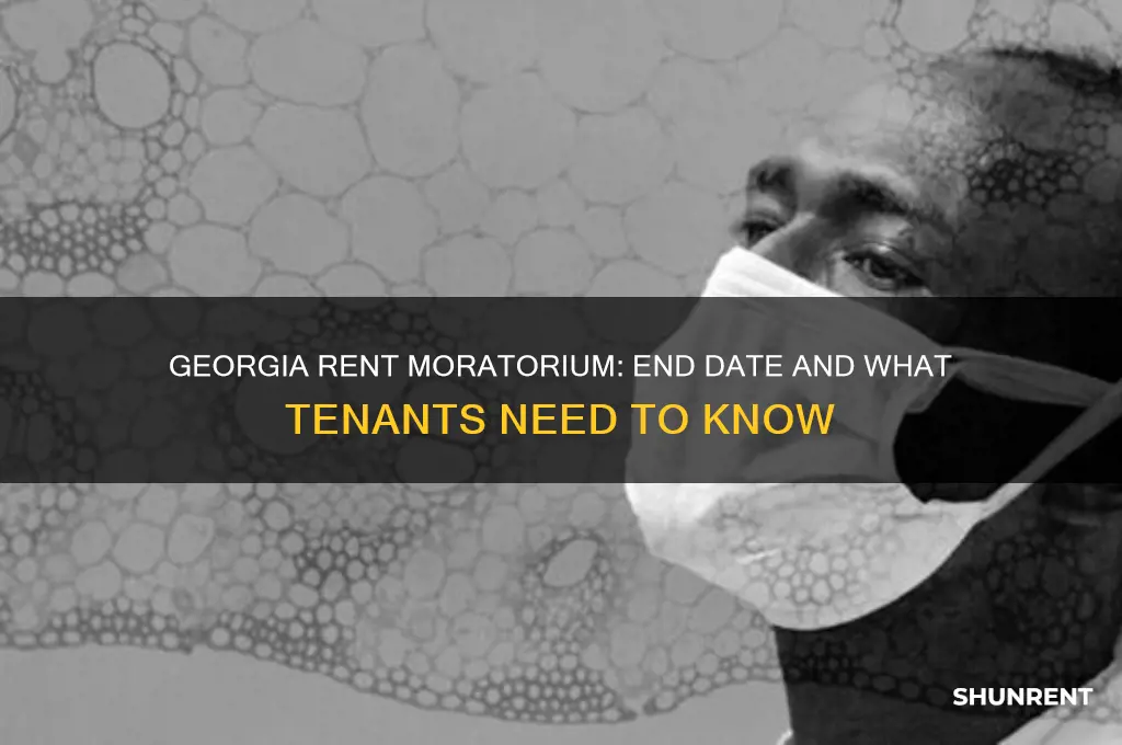 when does the rent moratorium end in georgia