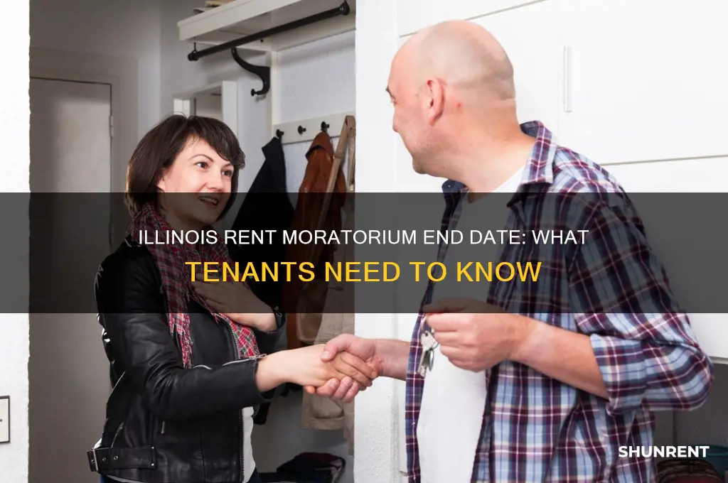 when does the rent moratorium end in illinois