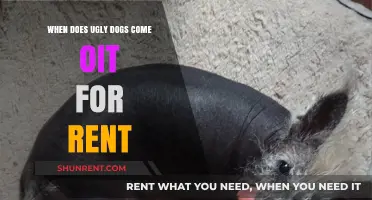 When Does Ugly Dogs Come Out for Rent: A Guide