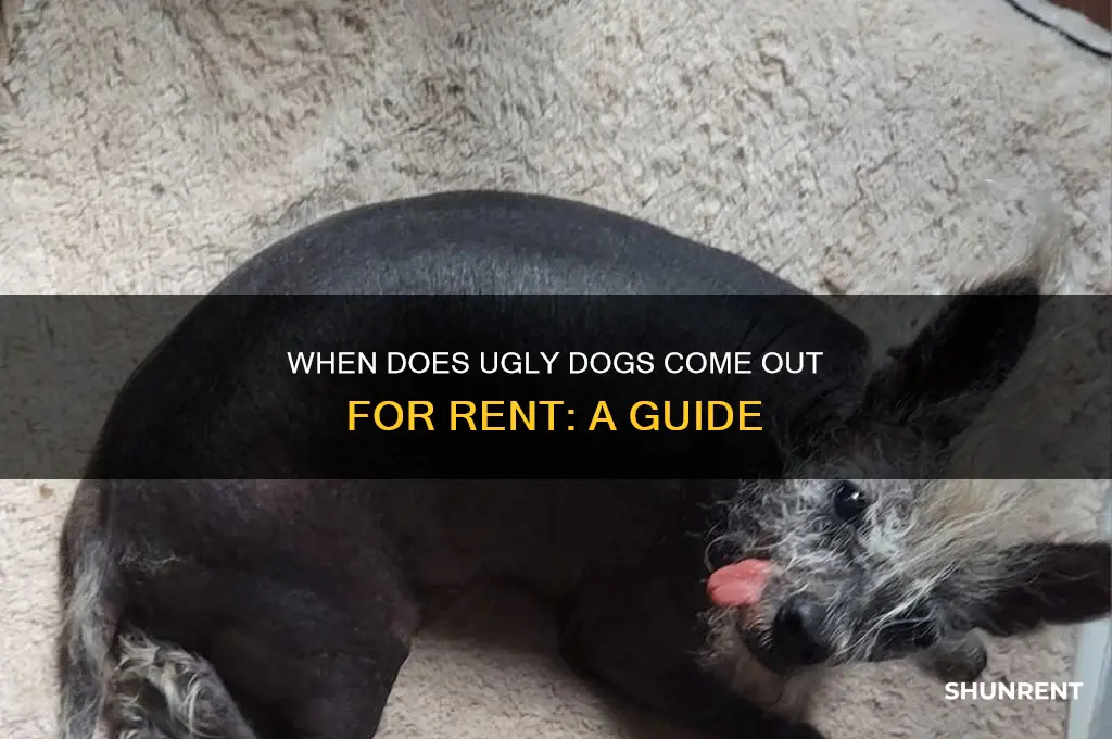 when does ugly dogs come oit for rent