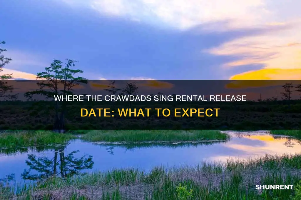 when does where the crawdads sing come out to rent