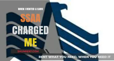 Unexpected Car Rental Fees: My Experience with USAA Charges