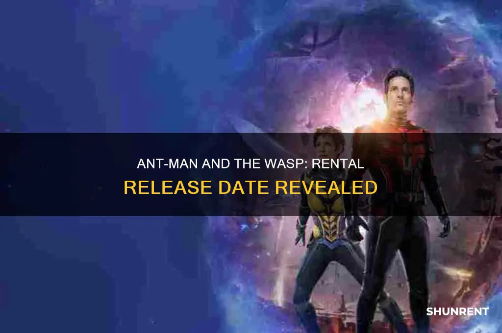 when is ant man 2 available to rent