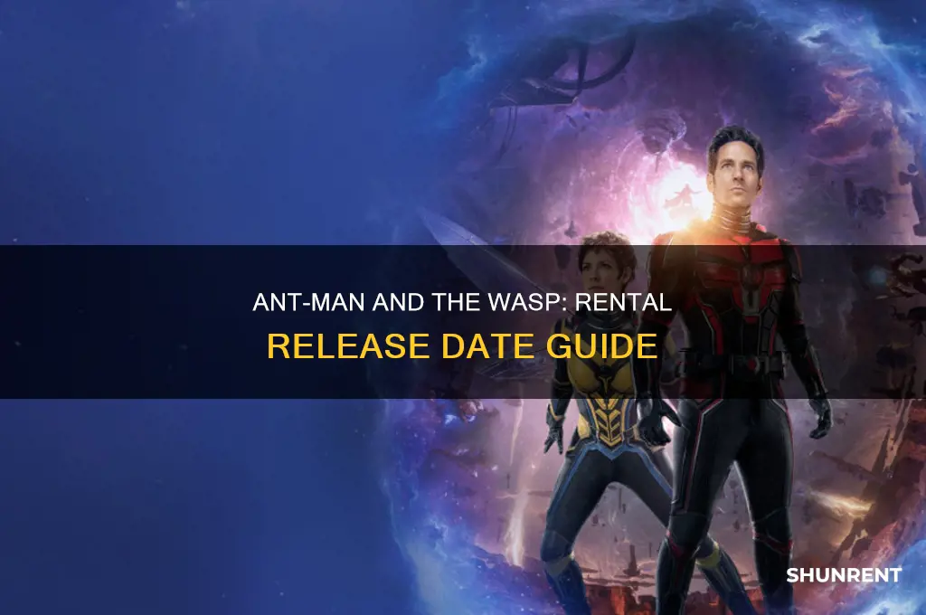 when is ant man and the wasp available to rent