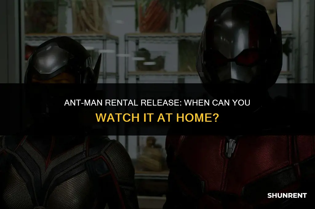 when is ant man available to rent