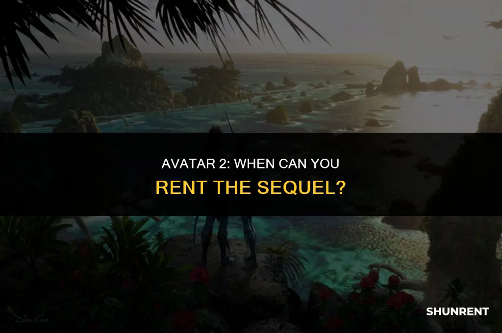 when is avatar 2 able to rent