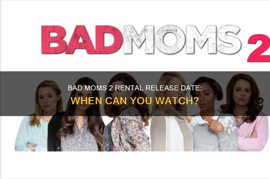 when is bad moms 2 coming out to rent