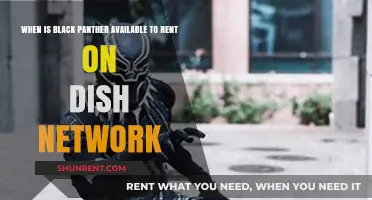 Black Panther Rental Release Date on Dish Network: What to Know