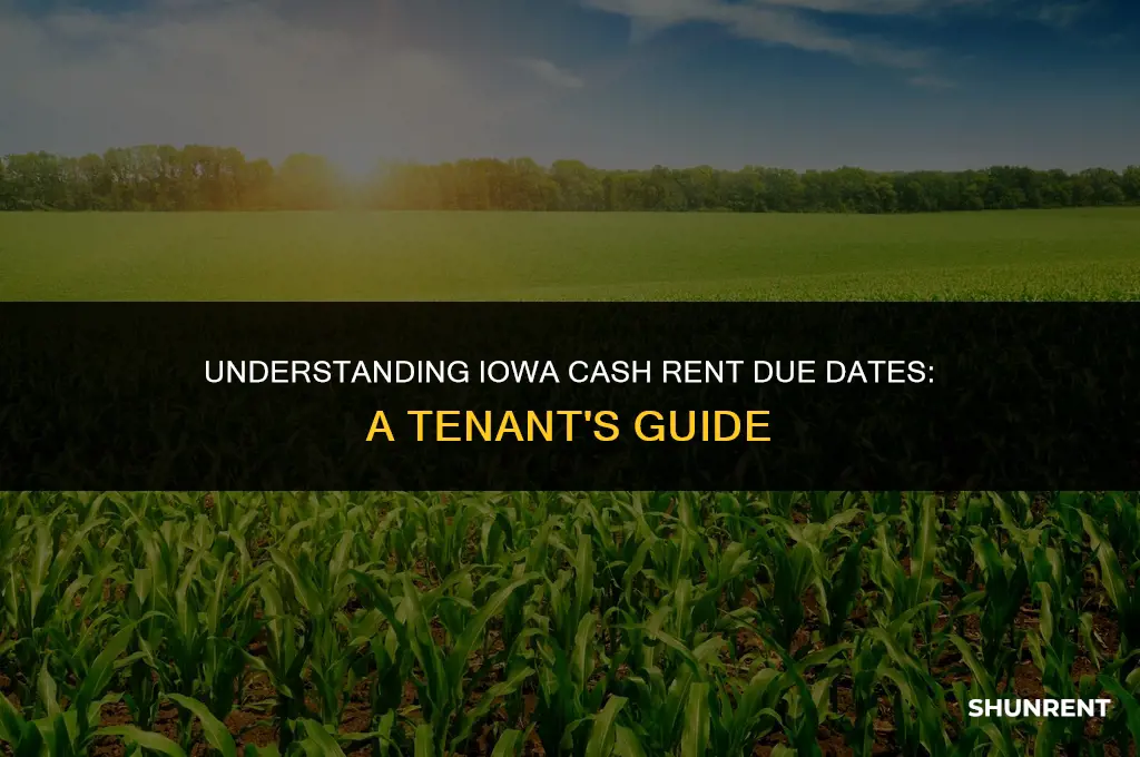 when is cash rent due in iowa