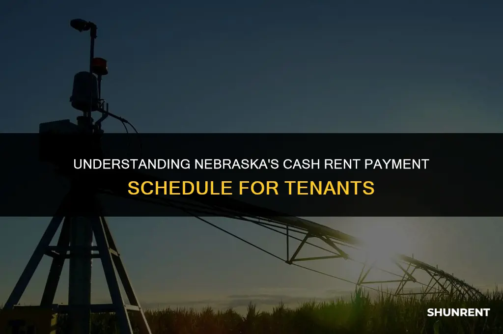 when is cash rent in nebraska paid