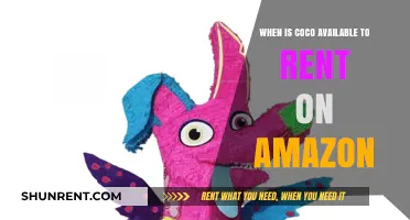 Coco Rental Release Date: When Can You Stream on Amazon?