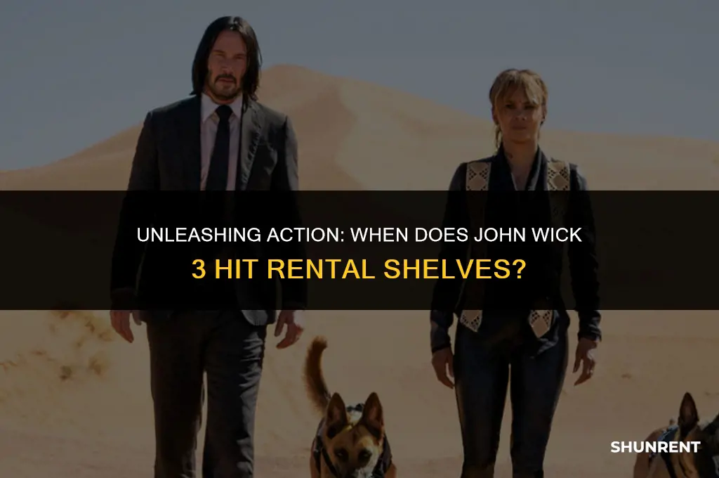 when is jhone wick 3 for rent