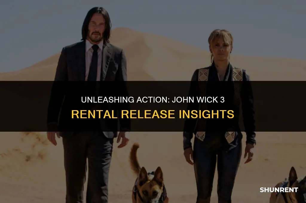 when is john wick 3 for rent