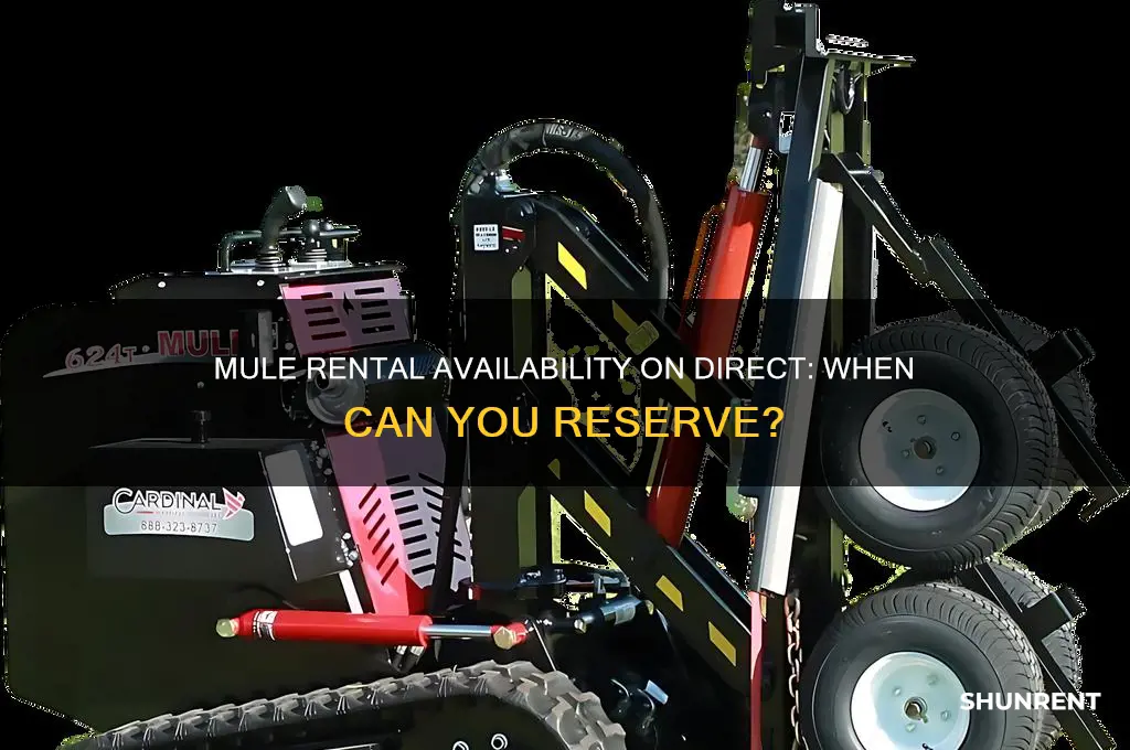 when is mule available to rent on direct