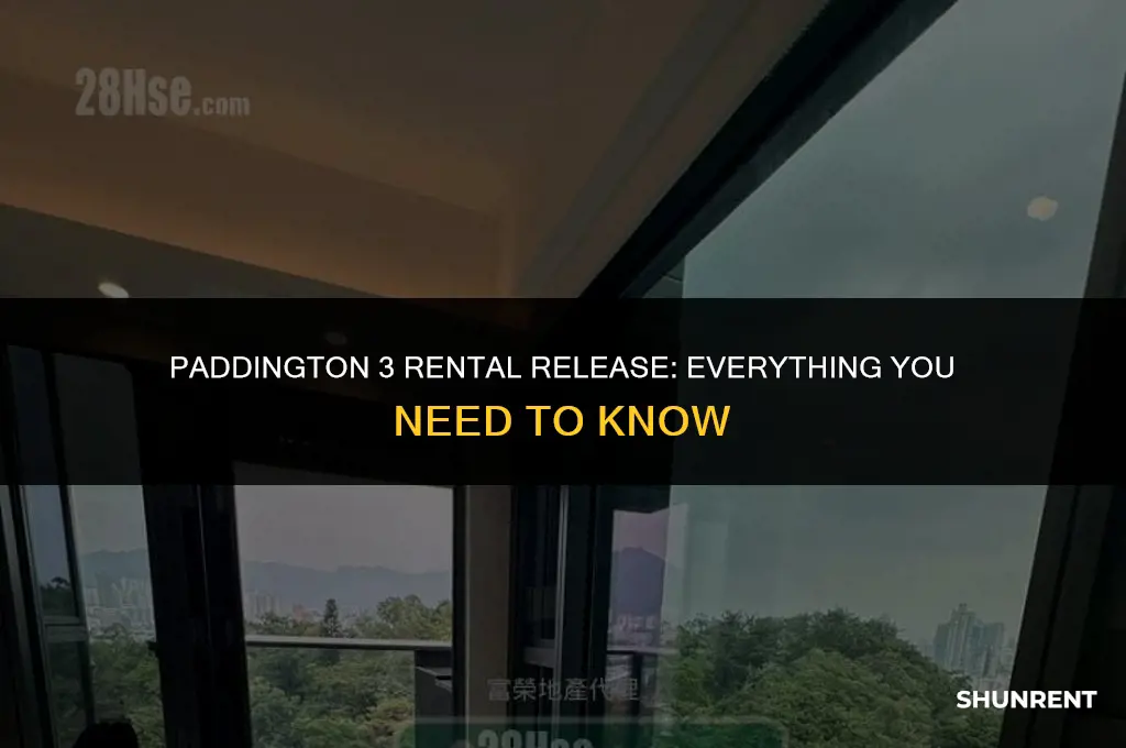 when is paddington 3 available to rent