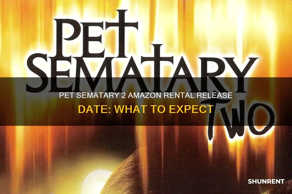 when is pet semtary 2 on mazonon for rent