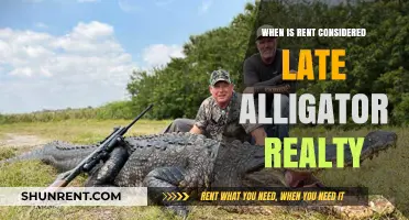 Understanding Late Rent Policies with Alligator Realty: A Tenant's Guide