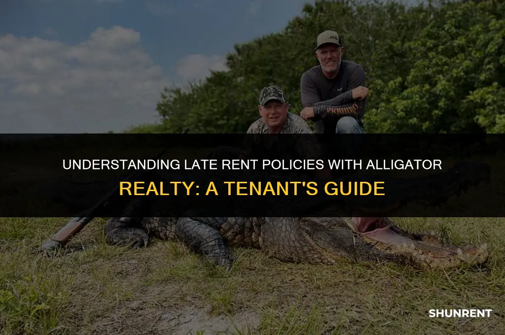 when is rent considered late alligator realty