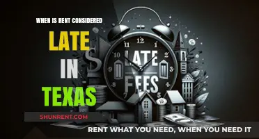 Understanding Late Rent Policies in Texas: A Tenant's Guide