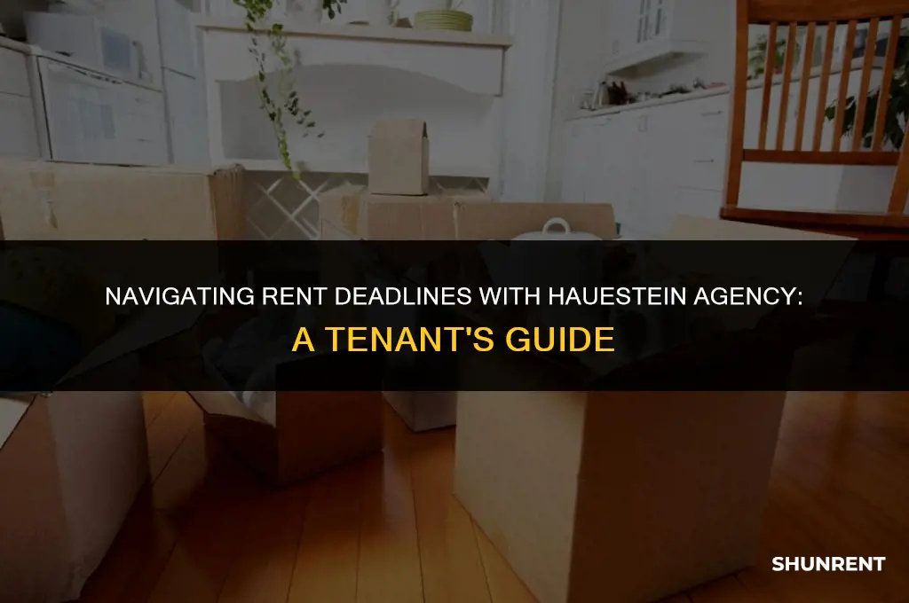 when is rent due with hauestein agency