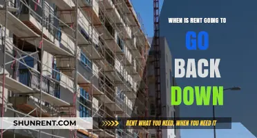 When Will Rent Prices Finally Drop? A Comprehensive Analysis