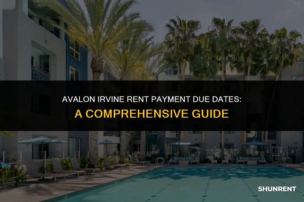 when is rent payment due avalon irvine