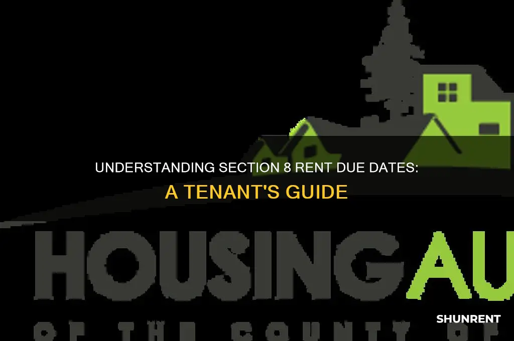 when is section 8 due to rent due