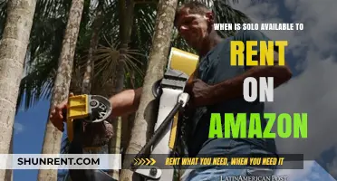 Solo Amazon Rental Release Date: When Can You Stream?