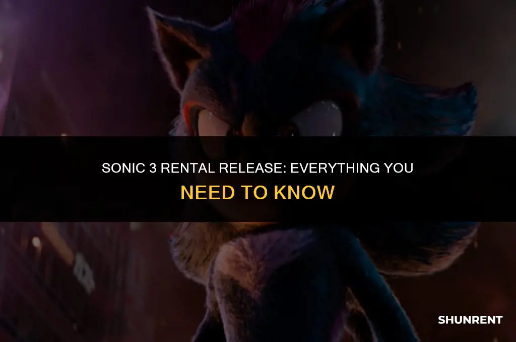 when is sonic 3 available to rent