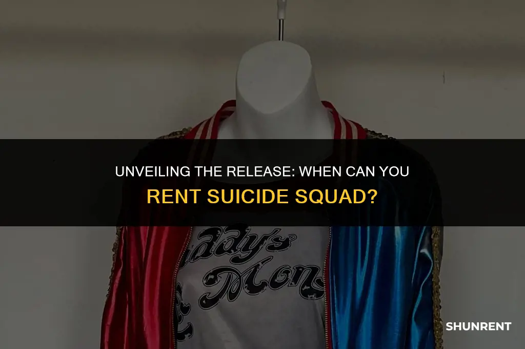 when is suicide squad available to rent