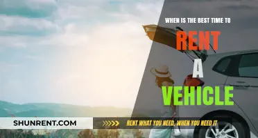 Optimal Timing for Vehicle Rentals: Maximizing Convenience and Savings