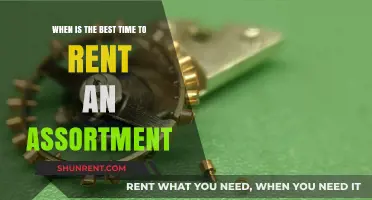 Optimal Timing for Renting Assortments: A Strategic Guide