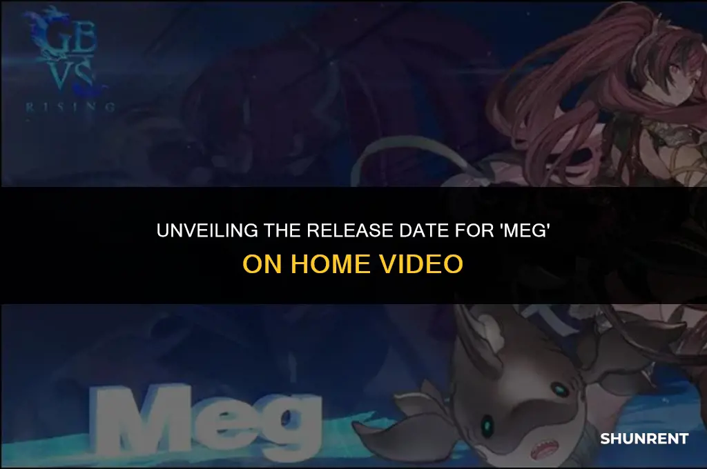 when is the meg available for rent