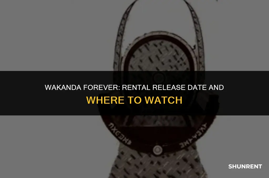 when is wakanda forever available to rent