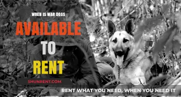 War Dogs Rental Release: When Can You Watch It?