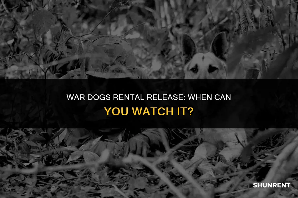when is war dogs available to rent