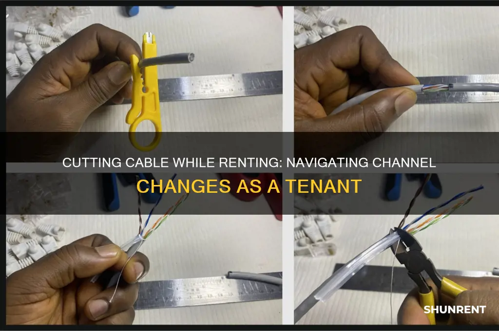when people cut their renters cable channels while stilll renting