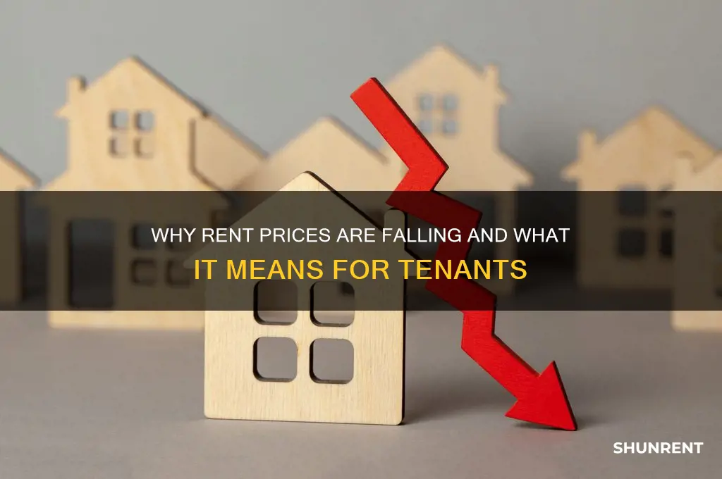 when price for rent a cas are going down