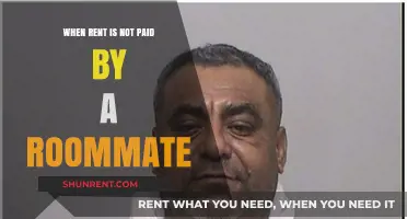 Handling Roommate Rent Defaults: Strategies for Fair Resolution and Prevention