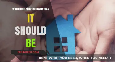 Unusual Rent Bargains: Why Some Prices Defy Market Expectations