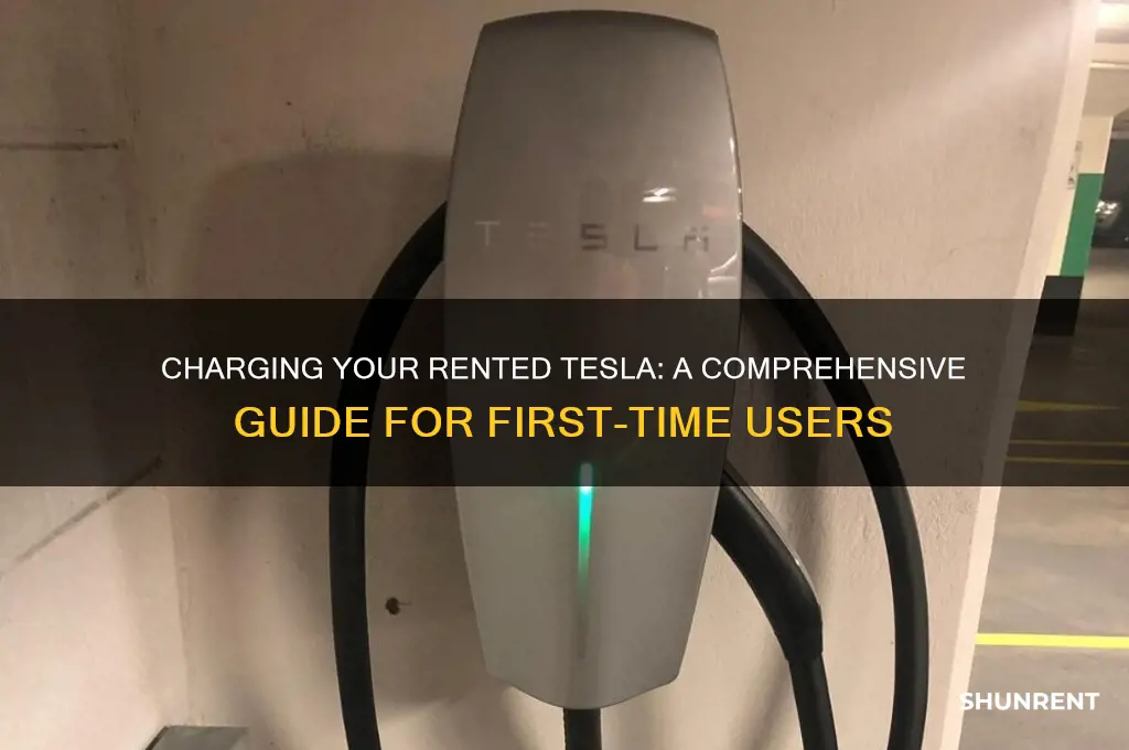 when renting a tesla how do you charge it