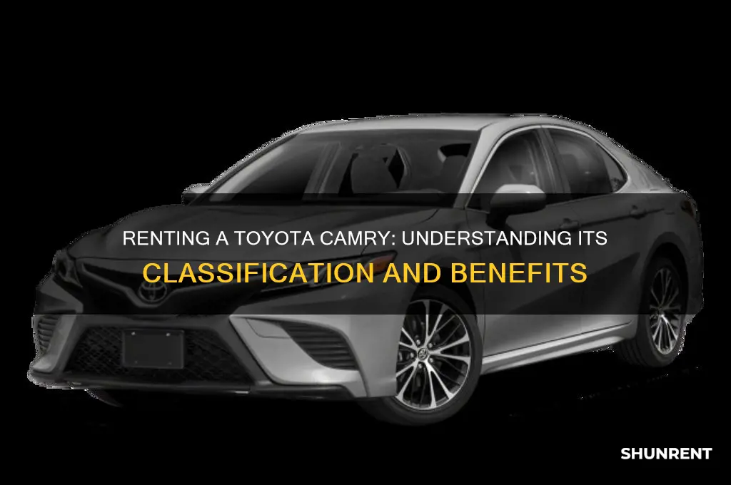 when renting a toyota camry what is it considered