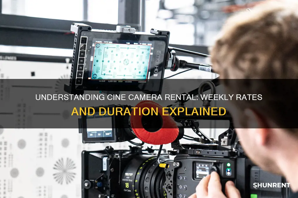 when renting cine camera how many days equals a week