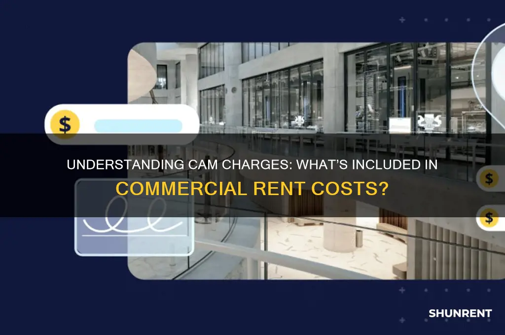 when renting commercial space what is included in cam