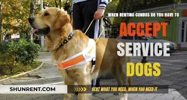 Renting Condos: Understanding Service Dog Accommodation Requirements and Rights