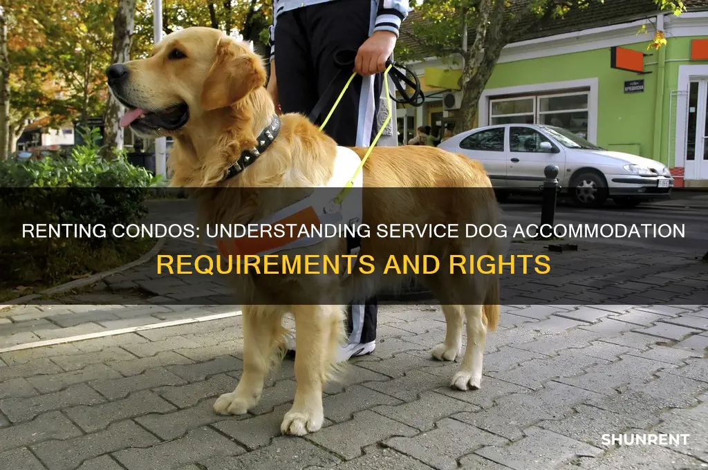 when renting condos do you have to accept service dogs