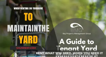 Tenant Responsibilities: Yard Maintenance When Renting a Property