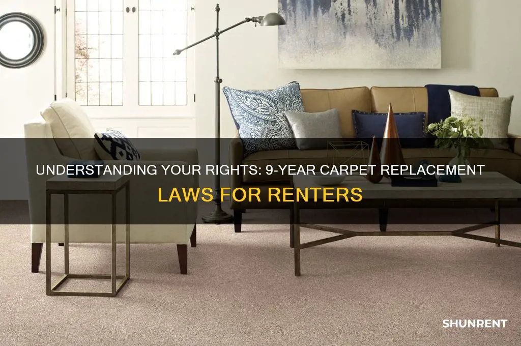when renting for 9 years law on carpet