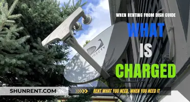 Understanding Dish Guide Rental Charges: What You'll Pay When Renting