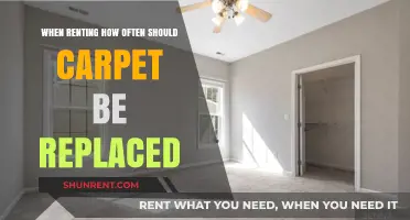 Carpet Replacement in Rentals: How Often Should Tenants Expect New Flooring?